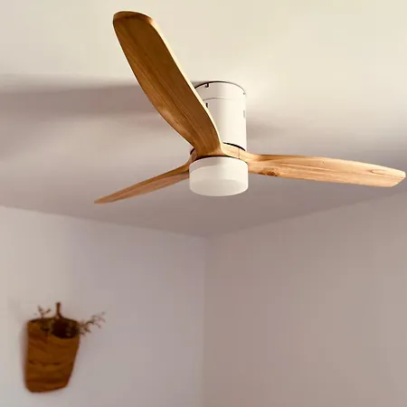 Canada Abejas * Oyon