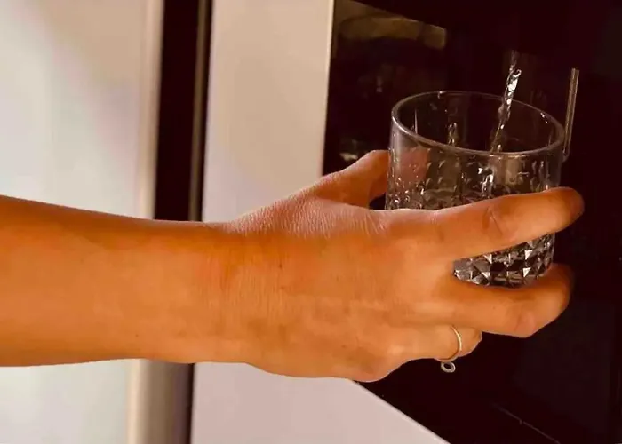 Canada Abejas * Oyon